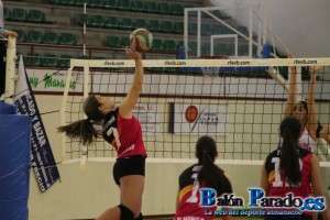 Voleibol Juvenil (CVAlmansa-Tomelloso)-3503
