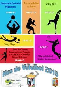 Cartel Mes Voleibol 2015
