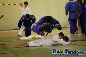 Judo 2014-5040